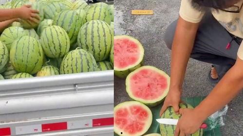 山东吃生瓜的网红